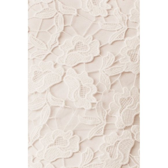 BHLDN Wtoo Francila Wedding Gown Lace Size 4 & 14 - Picture 9 of 9